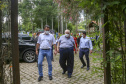 PARANÁ POLINIZA
