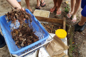 Aula prática de compostagem na Ilha do Mel