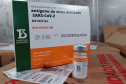 Paraná recebe 914 mil vacinas contra a Covid-19 e mais 294 mil Pfizer devem chegar ainda hoje