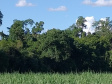 Governo do Paraná registra mais uma Reserva Particular do Patrimônio Natural no Norte do Estado