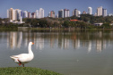 Setor do turismo cresce 13,7% no Paraná em 2021; serviços avançam 8,3%.