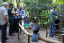 Diretores do BRDE, prefeito de Foz e parceiros visitam Parque das Aves e discutem fomento ao turismo