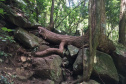 IAT interdita trilha do Parque Estadual Salto São Francisco da Esperança