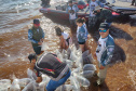 Em apoio a Desafio de Pesca, Governo promove soltura de 105 mil peixes nativos no Rio Paraná