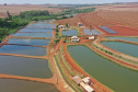 Paraná produziu 9,3% a mais de peixes em 2021 confirmando liderança nacional
