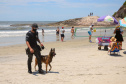 Cães policiais da Polícia Civil interagem com a sociedade no Litoral