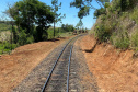 Com alta de 13% na movimentação em 2021, Ferroeste impulsiona economia do Paraná