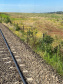 Com alta de 13% na movimentação em 2021, Ferroeste impulsiona economia do Paraná