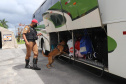  No Paraná, forças policiais tiram de circulação mais de 272 toneladas de drogas