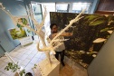  Andersen recebe cyber ilex, exposição que atualiza o valor do mate na cultura paranaense