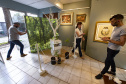  Andersen recebe cyber ilex, exposição que atualiza o valor do mate na cultura paranaense