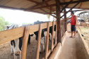 Com juros subsidiados pelo Estado, Banco do Agricultor muda a realidade dos paranaenses