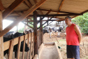 Com juros subsidiados pelo Estado, Banco do Agricultor muda a realidade dos paranaenses