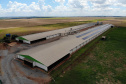Com juros subsidiados pelo Estado, Banco do Agricultor muda a realidade dos paranaenses