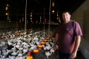 Com juros subsidiados pelo Estado, Banco do Agricultor muda a realidade dos paranaenses