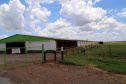 Com juros subsidiados pelo Estado, Banco do Agricultor muda a realidade dos paranaenses