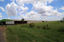 Com juros subsidiados pelo Estado, Banco do Agricultor muda a realidade dos paranaenses