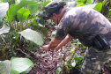 Proteção da fauna paranaense é intensificada com fiscalizações e autuações do Batalhão de Polícia Ambiental no Paraná