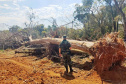Proteção da fauna paranaense é intensificada com fiscalizações e autuações do Batalhão de Polícia Ambiental no Paraná