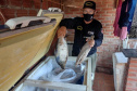 Durante Piracema, Paraná teve cinco forças-tarefas de fiscalização e repovoou rios com mais 770 mil peixes nativos