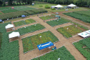 IDR-Paraná apresenta alternativas para uma agricultura mais sustentável e lucrativa nas culturas de feijão e milho