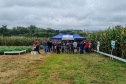 IDR-Paraná apresenta alternativas para uma agricultura mais sustentável e lucrativa nas culturas de feijão e milho