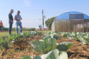 IDR-Paraná: pesquisa busca impulsionar a agricultura orgânica