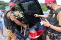 Mais de 25 mil pessoas são abordadas e 323 presas pela Polícia Militar durante o Carnaval 2022 no Paraná