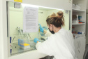 Laboratório da Adapar é credenciado para diagnóstico de Influenza Aviária e Doença de Newcastle por PCR em tempo real