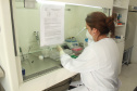 Laboratório da Adapar é credenciado para diagnóstico de Influenza Aviária e Doença de Newcastle por PCR em tempo real