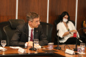 Investimento em infraestrutura paranaense é destaque em encontro do vice-governador com representantes da Suíça