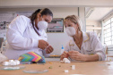 Mulheres são maioria entre professores da UEPG que receberam Bolsa Produtividade em 2022 
