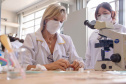 Mulheres são maioria entre professores da UEPG que receberam Bolsa Produtividade em 2022 