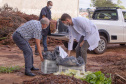 Parceria entre Hospital Universitário e Colégio Agrícola inicia produção de ervas terapêuticas