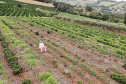 Com juros subsidiados pelo Estado, Banco do Agricultor muda a realidade dos paranaenses