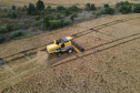 Boletim Agro
