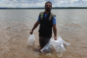Rio Paranapanema conta com mais 105 mil peixes