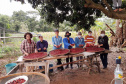 Mulheres do Café - 