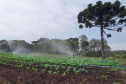 Dia da Água