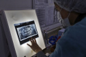 Caif volta atender 100% pacientes com malformação facial 
