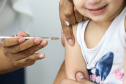 Mais de meio milhão de vacinas contra a gripe já foram aplicadas no Paraná