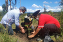  No Dia dos Povos Indígenas, IAT relembra parceria para conservação e recuperação da Floresta Estadual Metropolitana