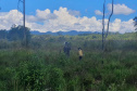  No Dia dos Povos Indígenas, IAT relembra parceria para conservação e recuperação da Floresta Estadual Metropolitana
