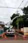 Após fortes chuvas, equipes da Copel trabalham em todo o Estado para recompor rede de energia