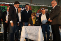 iml - ponta grossa
