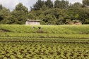 paraná produtivo