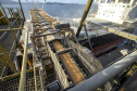Volume de granéis embarcado a leste do Porto de Paranaguá aumenta 7,4% no 1º quadrimestre do ano
