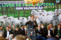 O Governo do Estado celebra nesta terça-feira (31) o primeiro ano do Paraná como área livre de febre aftosa sem vacinação e comemora os 10 anos de fundação da Agência de Defesa Agropecuária do Paraná (Adapar) - Curitiba, 31/05/2022