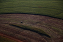 AGRO