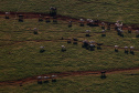 AGRO